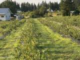110 Abiding Way - Photo 30