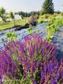 110 Abiding Way - Photo 45