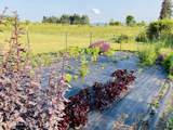 110 Abiding Way - Photo 46