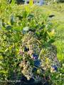 110 Abiding Way - Photo 49