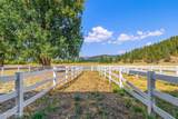 17778 Canary Creek Rd - Photo 32