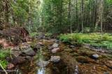 183 & 185 Carr Creek Rd - Photo 33