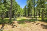 273 Songbird Way - Photo 50