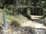 239 Bear Track Ln - Photo 10