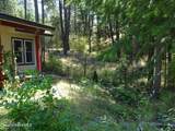 239 Bear Track Ln - Photo 16