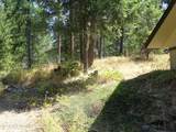 239 Bear Track Ln - Photo 18