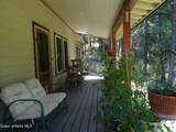 239 Bear Track Ln - Photo 2