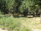 239 Bear Track Ln - Photo 27