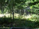 239 Bear Track Ln - Photo 37