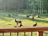 265 Little Thunder Rd - Photo 18
