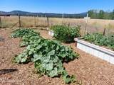 10671 Idaho Rd - Photo 87