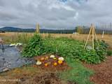 10671 Idaho Rd - Photo 89