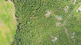 260 Fry Creek Rd - Photo 40