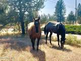 16155 Mountain View Rd - Photo 2