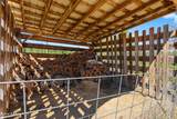 1193 Gleason Mcabee Falls Rd - Photo 47