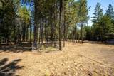 1037 Peregrine Rd - Photo 39