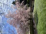 1407 Mathison Dr - Photo 46