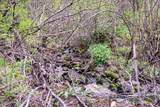 NNA Corbin Hill Rd - Photo 17