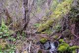 NNA Corbin Hill Rd - Photo 4