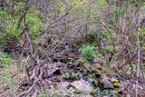 NNA Corbin Hill Rd - Photo 5