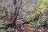 NNA Corbin Hill Rd - Photo 6
