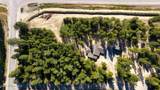 80 Carbonate Ln - Photo 55