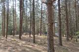 NKA Hayden Lake Rd - Photo 6