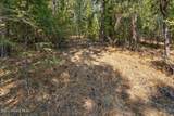 10795 Bella Ridge Dr - Photo 10