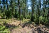 10795 Bella Ridge Dr - Photo 19
