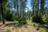 10795 Bella Ridge Dr - Photo 32
