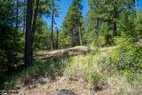 10795 Bella Ridge Dr - Photo 34