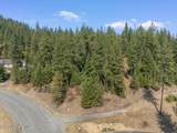10795 Bella Ridge Dr - Photo 43