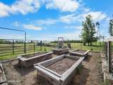 10916 Rinear Rd - Photo 50