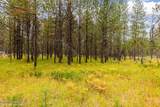 32584 Sheep Springs Rd - Photo 39