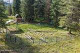 9219 Son Shine Way - Photo 48