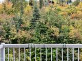 495 Northwest Passage - Photo 19