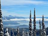 495 Northwest Passage - Photo 63