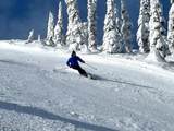 495 Northwest Passage - Photo 97