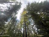 4974 Dickensheet Rd - Photo 69