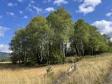 286 Diamond Hitch Dr - Photo 4