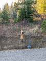 Lot 10 Saddleback Dr - Photo 10