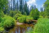 Lot 5 Brown Bear Dr - Photo 31