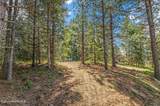 501 Swan Shores Dr - Photo 29
