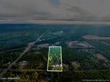 1942 Scarcello Rd - Photo 34