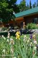189 Fern Meadow Rd - Photo 30