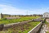853 Open Skies Rd - Photo 46