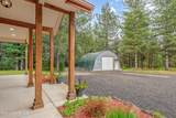 10462 Casa Ranchero Drive - Photo 46