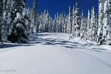 NNA Tall Timber Rd - Photo 13