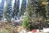 NNA Tall Timber Rd - Photo 16
