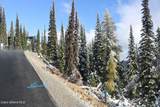 NNA Tall Timber Rd - Photo 25